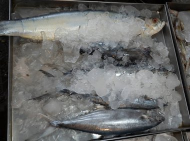 Yerel pazarda taze balık