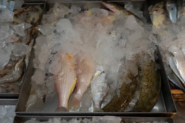 Yerel pazarda taze balık