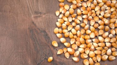 Tahta zemindeki mısır tohumlarını kapat