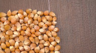 Tahta zemindeki mısır tohumlarını kapat