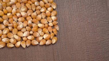 Tahta zemindeki mısır tohumlarını kapat