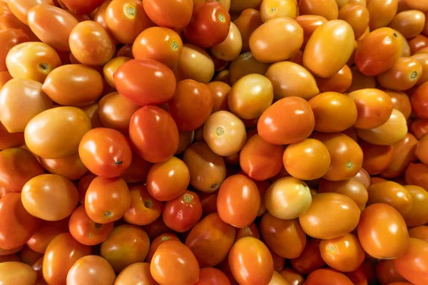 Färska Mogna Tomater Marknaden — Stockfoto
