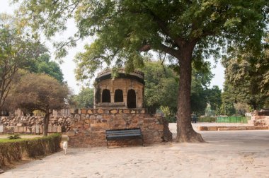 Hindistan 'ın antik harabeleri