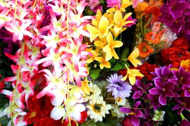 Rengarenk çiçeklerin inanılmaz çeşitliliği, yakın görüş.