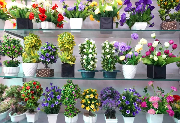 Mağazalardaki saksılarda renkli çiçekler