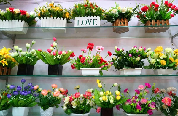 Colorful Flowers Pots Store Shelves — Stock Photo, Image