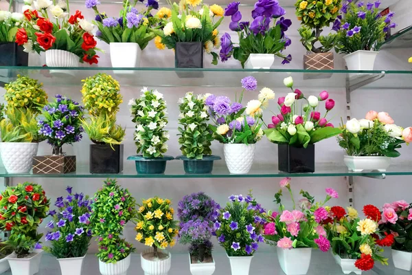 Красочные Цветы Горшках Полках Магазинов — стоковое фото