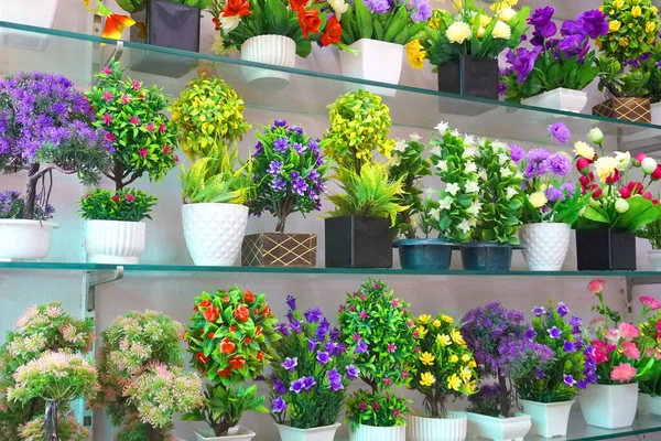 Mağazalardaki saksılarda renkli çiçekler