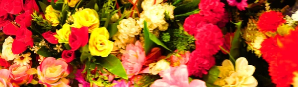 Εκπληκτική Ποικιλία Από Όμορφα Πολύχρωμα Λουλούδια Κοντινή Θέα — Φωτογραφία Αρχείου