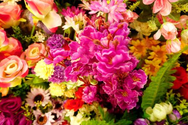 Rengarenk çiçeklerin inanılmaz çeşitliliği, yakın görüş.