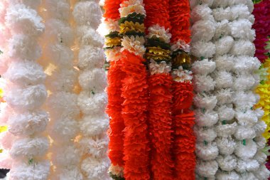 Bir sürü güzel çiçek, yakın görüş.