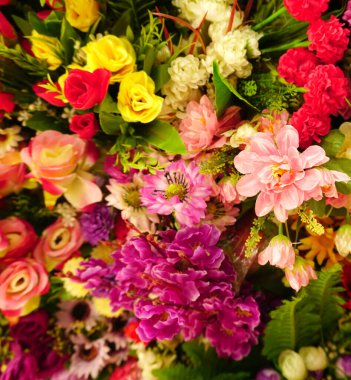 Rengarenk çiçeklerin inanılmaz çeşitliliği, yakın görüş.