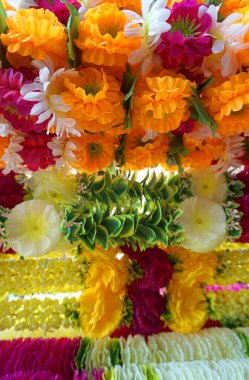 Bir sürü güzel çiçek, yakın görüş.