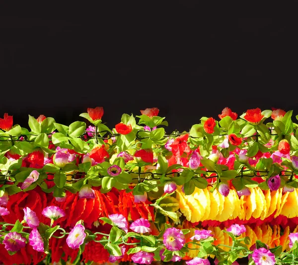 Asortyment Pięknych Kwiatów Ciemnym Tle — Zdjęcie stockowe