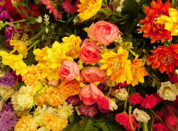 Úžasný Sortiment Krásných Barevných Květin Zblízka Pohled — Stock fotografie