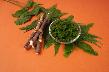 Yaprakları ve turuncu arka planda tahta çubukları olan bir kaseye yapıştır.