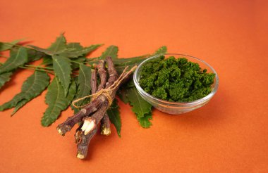 Yaprakları ve turuncu arka planda tahta çubukları olan bir kaseye yapıştır.