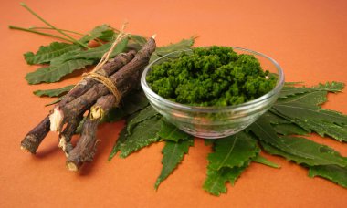 Yaprakları ve turuncu arka planda tahta çubukları olan bir kaseye yapıştır.