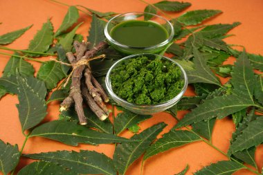 Yapraklar ve turuncu arka planda ahşap çubuklarla dolu kâselerde ezme ve meyve suyu.