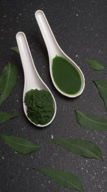 İlaç Ayurvedic Azadirachta indica ya da Neem yaprakları neem macunu, meyve suyu ve dal ile kaplanır