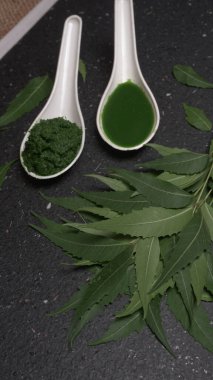 İlaç Ayurvedic Azadirachta indica ya da Neem yaprakları neem macunu, meyve suyu ve dal ile kaplanır