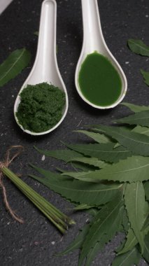 İlaç Ayurvedic Azadirachta indica ya da Neem yaprakları neem macunu, meyve suyu ve dal ile kaplanır