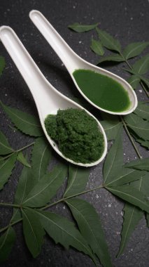 İlaç Ayurvedic Azadirachta indica ya da Neem yaprakları neem macunu, meyve suyu ve dal ile kaplanır