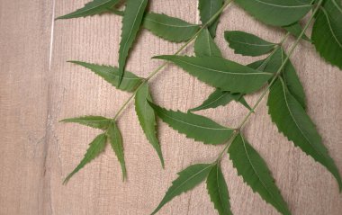 Tahta yüzeyde tıbbi yapraklar, cilt bakımı ve güzellik konsepti