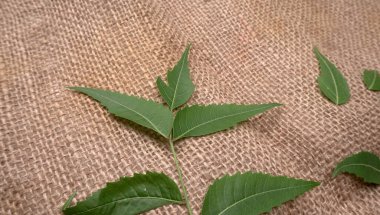 İlaç yaprakları çuval bezi yüzeyinde, cilt bakımı ve güzellik konseptinde