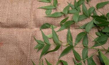 İlaç yaprakları çuval bezi yüzeyinde, cilt bakımı ve güzellik konseptinde