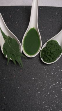 İlaç Ayurvedic Azadirachta indica ya da Neem yaprakları neem macunu, meyve suyu ve dal ile kaplanır