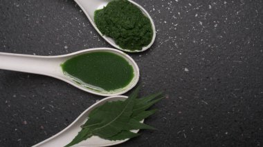 İlaç Ayurvedic Azadirachta indica ya da Neem yaprakları neem macunu, meyve suyu ve dal ile kaplanır