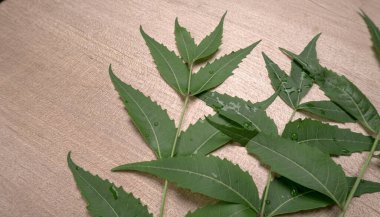 Tahta yüzeyde tıbbi yapraklar, cilt bakımı ve güzellik konsepti