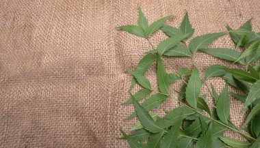 İlaç yaprakları çuval bezi yüzeyinde, cilt bakımı ve güzellik konseptinde