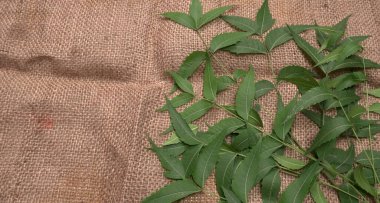 İlaç yaprakları çuval bezi yüzeyinde, cilt bakımı ve güzellik konseptinde