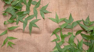 İlaç yaprakları çuval bezi yüzeyinde, cilt bakımı ve güzellik konseptinde