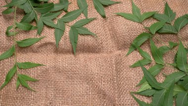 İlaç yaprakları çuval bezi yüzeyinde, cilt bakımı ve güzellik konseptinde