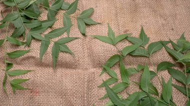 İlaç yaprakları çuval bezi yüzeyinde, cilt bakımı ve güzellik konseptinde