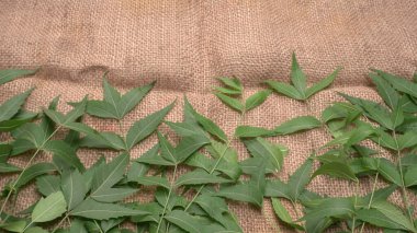 İlaç yaprakları çuval bezi yüzeyinde, cilt bakımı ve güzellik konseptinde