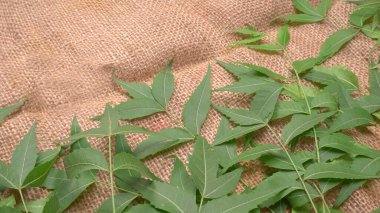 İlaç yaprakları çuval bezi yüzeyinde, cilt bakımı ve güzellik konseptinde