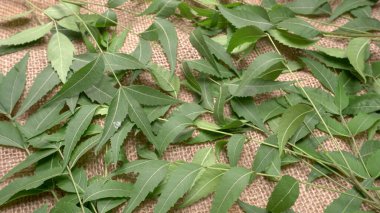 İlaç yaprakları çuval bezi yüzeyinde, cilt bakımı ve güzellik konseptinde