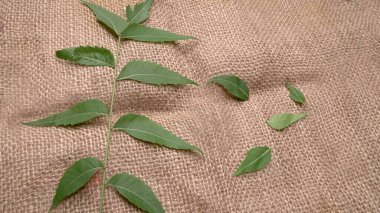 İlaç yaprakları çuval bezi yüzeyinde, cilt bakımı ve güzellik konseptinde