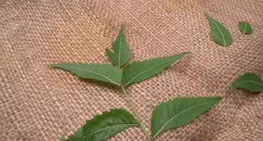 İlaç yaprakları çuval bezi yüzeyinde, cilt bakımı ve güzellik konseptinde