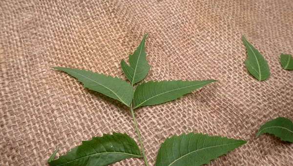 İlaç yaprakları çuval bezi yüzeyinde, cilt bakımı ve güzellik konseptinde