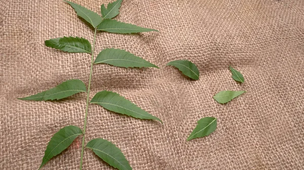 İlaç yaprakları çuval bezi yüzeyinde, cilt bakımı ve güzellik konseptinde