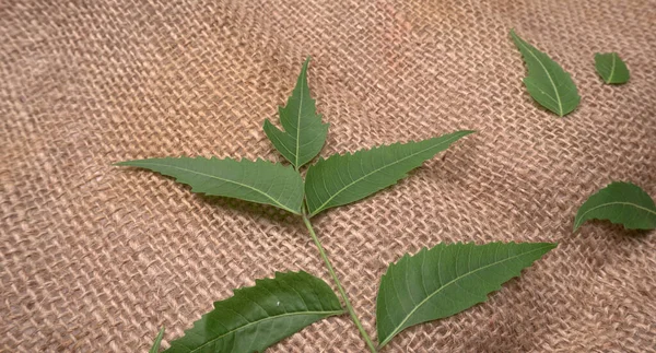İlaç yaprakları çuval bezi yüzeyinde, cilt bakımı ve güzellik konseptinde