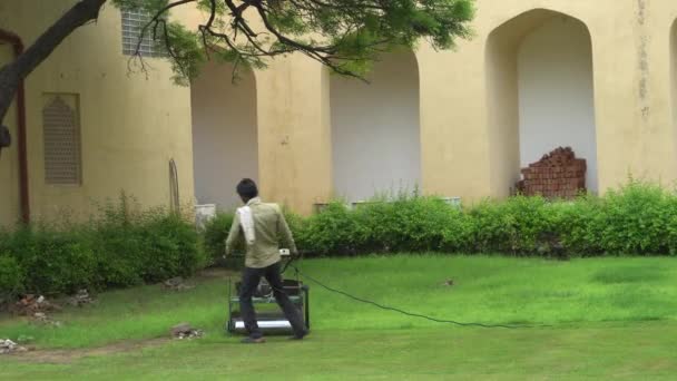 Человек Работающий Саду Человек Обрезающий Траву Газонокосилкой — стоковое видео