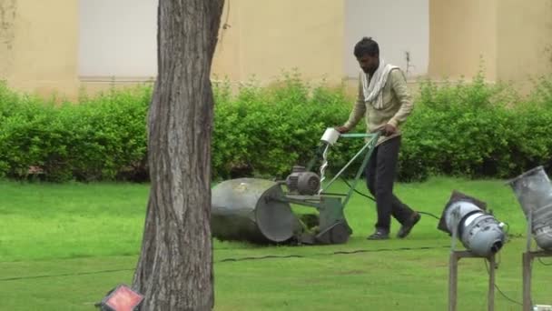 Homme Travaillant Dans Jardin Homme Coupant Herbe Avec Une Tondeuse — Video