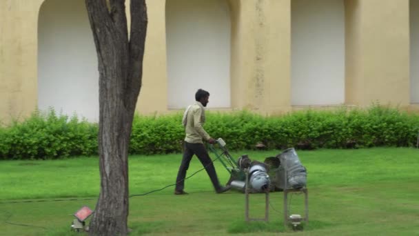 Homem Trabalhando Jardim Homem Aparando Grama Com Cortador Grama — Vídeo de Stock
