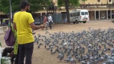 Kadın ve erkek, Hindistan 'da sokaklarda güvercin besliyor.